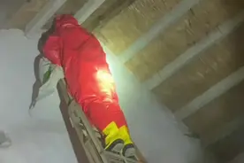 果然视频|马蜂在屋檐下筑巢，消防员到场清除图片