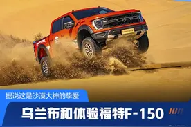 这是每个沙漠大神的挚爱 乌兰布和体验福特F-150猛禽图片
