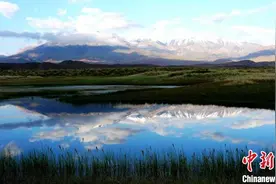 酒泉新观：绿色生态产业引资 渐别“捡到篮子里都算菜”图片