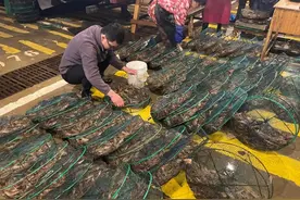 东海要禁渔期了！ 温州人不必慌张“囤货”图片