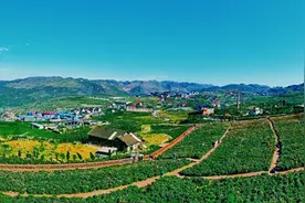 最美冷水江锡矿山，百亩月季花竞相怒放图片