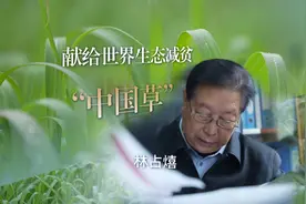 用菌草“圈粉”全球，80岁的林占熺还在搞科研 这一次目标是黄河！图片