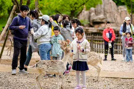 龙之梦假期蹲点系列报道②：动物世界太闹猛，游客体验感如何图片