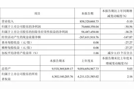 东材科技：2023年一季度净利润7066.04万元 同比下降30.56%图片