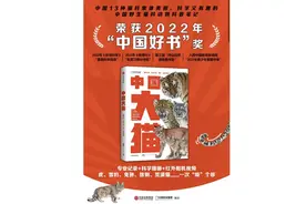 《中国大猫》：一本专业又有趣的中国野生猫科动物科普笔记｜新书架·假期阅读③图片