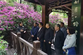 春光烂漫杜鹃花开  镇江组织志愿者和环卫劳模游南山赏杜鹃图片