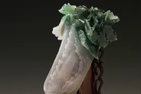 联播观察丨中国最贵的一棵“白菜” 曾在乐山呆了8年图片