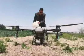 以匠人精神深耕现代农业！平度农民“飞手”获评“青岛市五一劳动奖章”图片