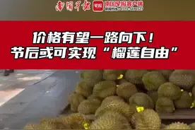 价格有望一路向下！“五一”假期后或可实现“榴莲自由”图片