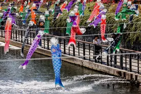 （外代一线）悬挂鲤鱼旗图片