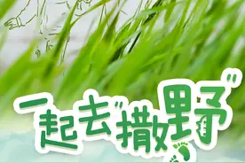 一起去“撒野”！图片