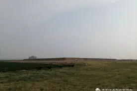 马向阳：探访汉魏洛阳故城 | 洛阳作家写洛阳图片