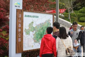 游浮山，观美景图片