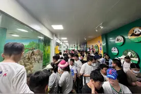 人气爆棚！“五一”假期预计超十万人次打卡临沂市动植物园图片