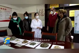 跟外国友人一起感受神奇的中医图片