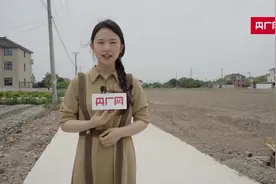 青春向上  |  95后“新农人”陈一帆：和自己的农作物一起成长图片