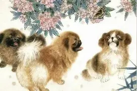 一语惊醒梦中人/随笔图片