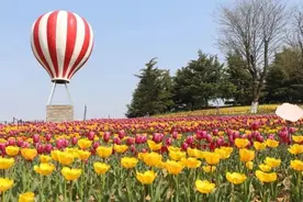 五一没玩够？免票！半价！岱岳区优惠政策来了图片