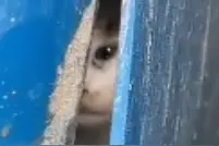 女子与邻居翻垃圾桶解救四只被扔的小猫：每个生命都值得被善待图片