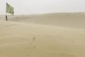 沙漠种树需要几步？“沙漠锁边人”这么做｜公益面孔图片