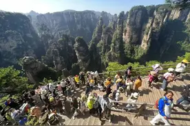 回顾这个“五一”，张家界国家森林公园有点“特别”！图片