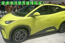 比亚迪海鸥是否值得购买？图片