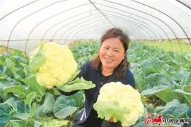 “农”墨重彩绘“丰”景！江苏徐州：稳步推进农业强农村美农民富图片