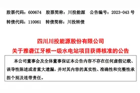 雅砻江牙根一级水电站项目获得核准图片