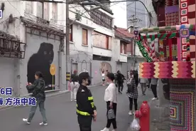 打卡上海“猫街”，聊聊你家猫主子图片