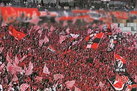 成都蓉城主场连胜 近4万球迷现场开起“演唱会”图片