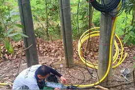 肇庆电信多措并举保障“五一”当周高速公路和景区网络通畅图片