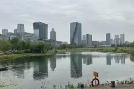 记者实地“打卡”成都环城生态区 看绿道+耕地在城市与乡村间形成“生态项链”图片