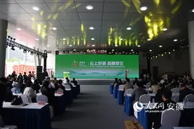 “云上好茶 岳西翠兰”专场推介会举办图片