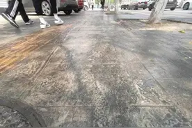 云求助｜行道树掉下“不明液体”地面普通粘胶水 专家：可能是蚜虫排泄物图片