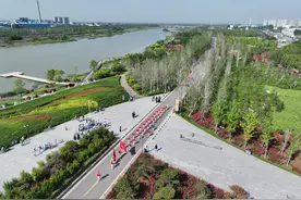 焦作：5000健身爱好者“行走大运河”图片