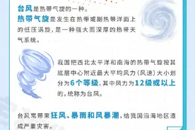防灾减灾宣传周 一图读懂汛期安全知识小科普之“台风”图片