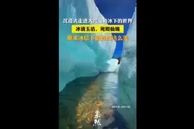 沉浸式走进大兴安岭冰下世界，原来冰层下面竟然这么美图片