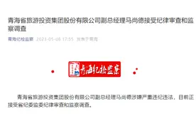 青海省旅游投资集团股份有限公司副总经理马尚德接受审查调查图片