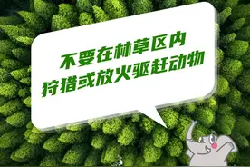 2023年云南省39.93万人报名参加高考图片