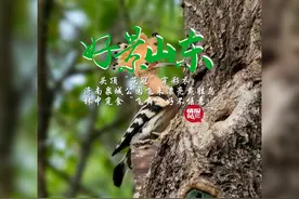 5月8日最佳情报|楼盘延期交付，充电桩收费不一！壹粉报料获奖图片