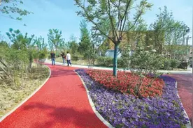 观音堂城市森林公园完工 东四环东五环间打通生态绿轴图片