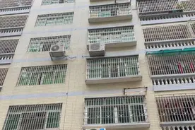 两条“弃狗”，将一对年轻夫妇卷入犯罪指控图片