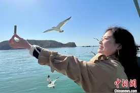 山东长岛：多彩民宿增速海岛经济发展图片