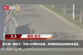 男子1分钟撬锁盗走电动车，民警蹲守4天将其抓获图片