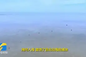 昌邑赶海人：时光不负 向海而行图片