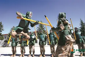 聚焦新兵体能训练丨从基础抓起 从基础强起图片