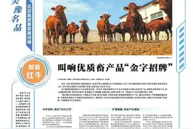 中国品牌日·美豫名品丨叫响优质畜产品“金字招牌”图片