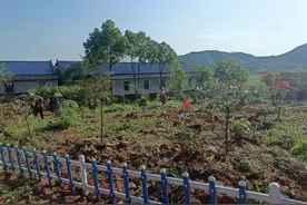 永兴柏林：凝心聚力推进“三拆” 助力打造美丽乡村图片