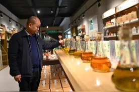 赵海云：从地中海“远嫁”而来的油橄榄，如何适应“东方水土”？图片