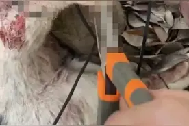 “杰克辣条”在多个社交平台账号均被封禁，撤销“阜南好人”称号图片